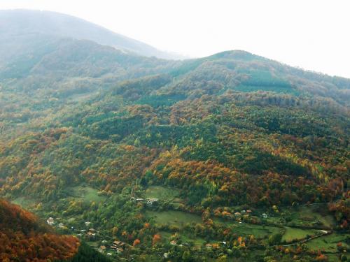 Osenovlag